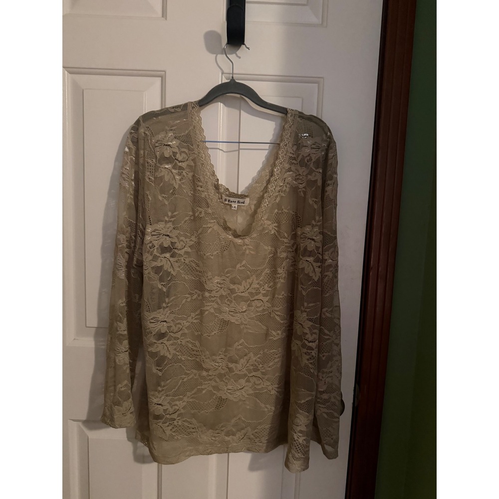 A Rare Bird Women Beige Sheer Floral Lace V-Neck Long Sleeve Top L/XL